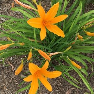 Meet your Posher, Kathryn